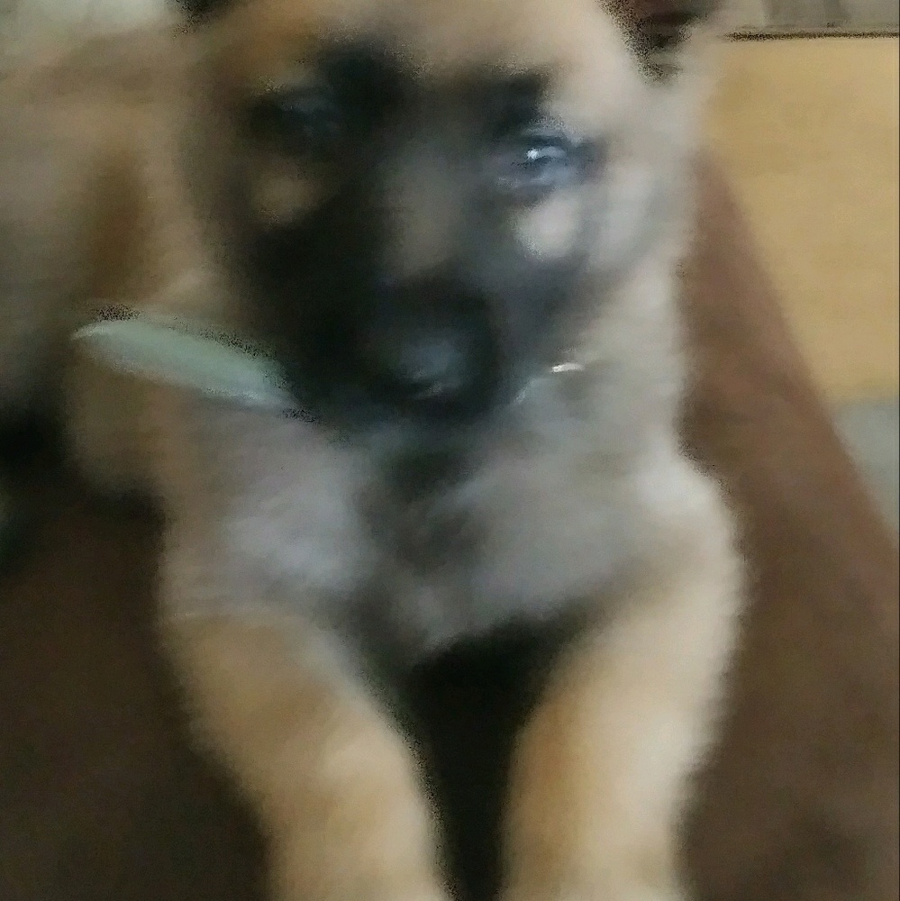 Meet your Posher, Teresa